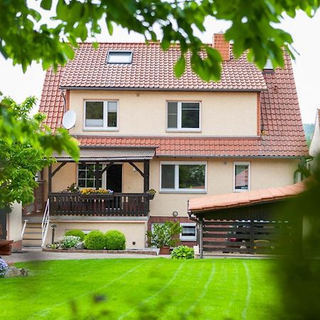 Ferienhaus Og1 "Westerwald Blick" Martinfeld Exteriör bild