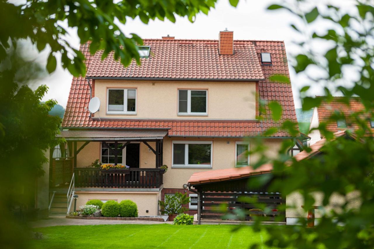 Ferienhaus Og1 "Westerwald Blick" Martinfeld Exteriör bild